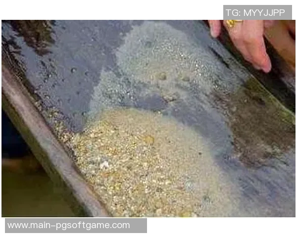 星旅淘金视频-探索星旅淘金世界的新面貌 星旅淘金视频的世界探索-星旅淘金视频